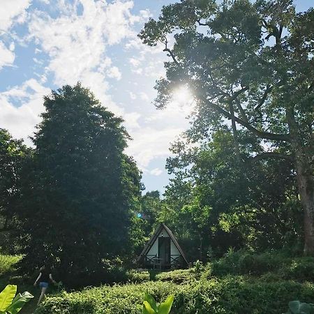 The Forest Cabin Bed and Breakfast Taiping Εξωτερικό φωτογραφία