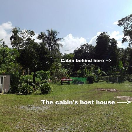 The Forest Cabin Bed and Breakfast Taiping Εξωτερικό φωτογραφία